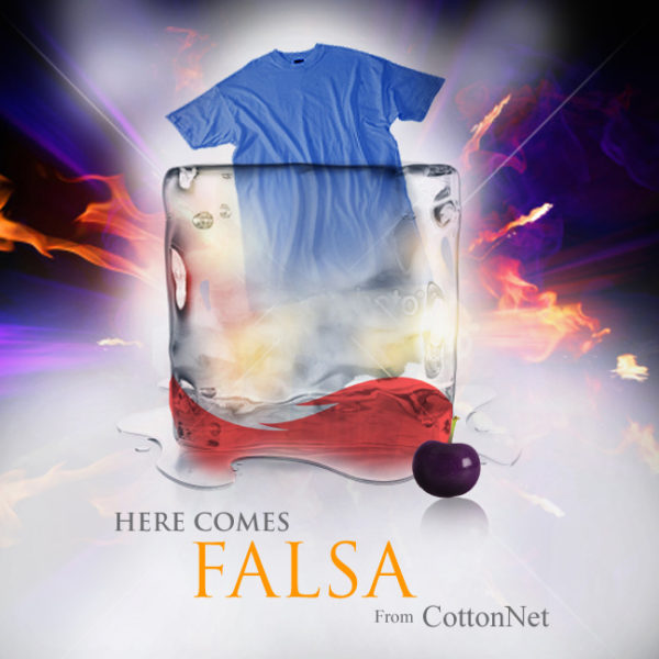 Falsa Poster